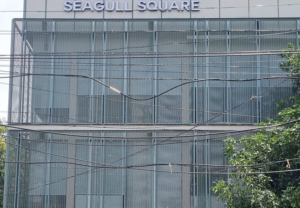 kochi1